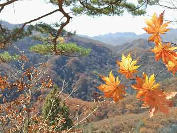 米非司酮在家服用打胎药流产(在家服用打胎药流产怎么办)